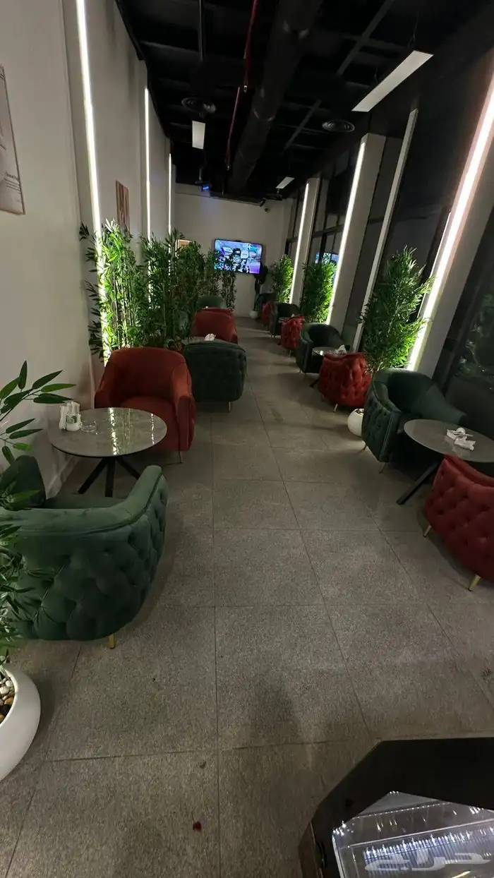 كراسي كافيه 5