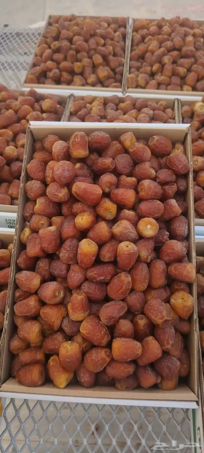 تمر جلكسي الموقع عنيزة 0