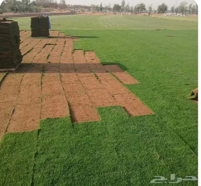 ثيل طبيعي درجه اولى 3