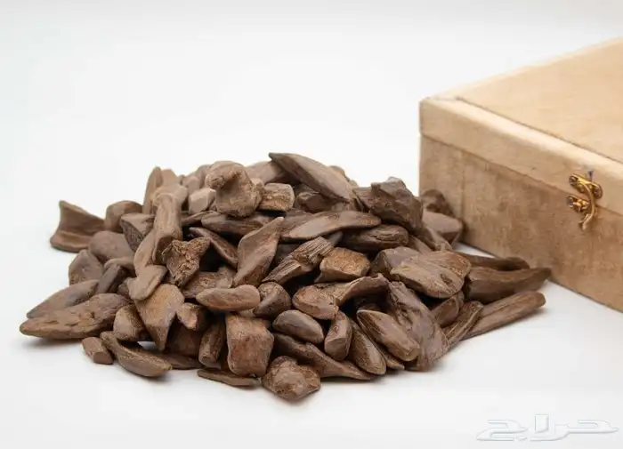 عود مروكي محسن درجة اولى 2