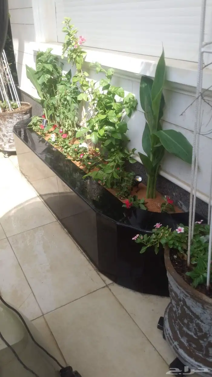 تنسيق حدائق 3