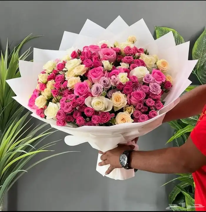 هدية ميلاد هدية عيد ميلاد عروض مستمره وتوصيل مجاني 3