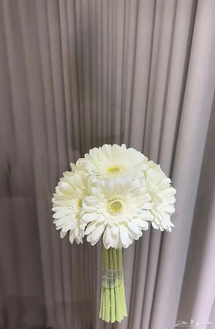 مسكه شبيه الطبيعي 0