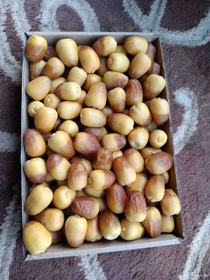 السلام عليكم يوجد لدينا جميع انواع اتمور الفاخره جده مكه ا 3