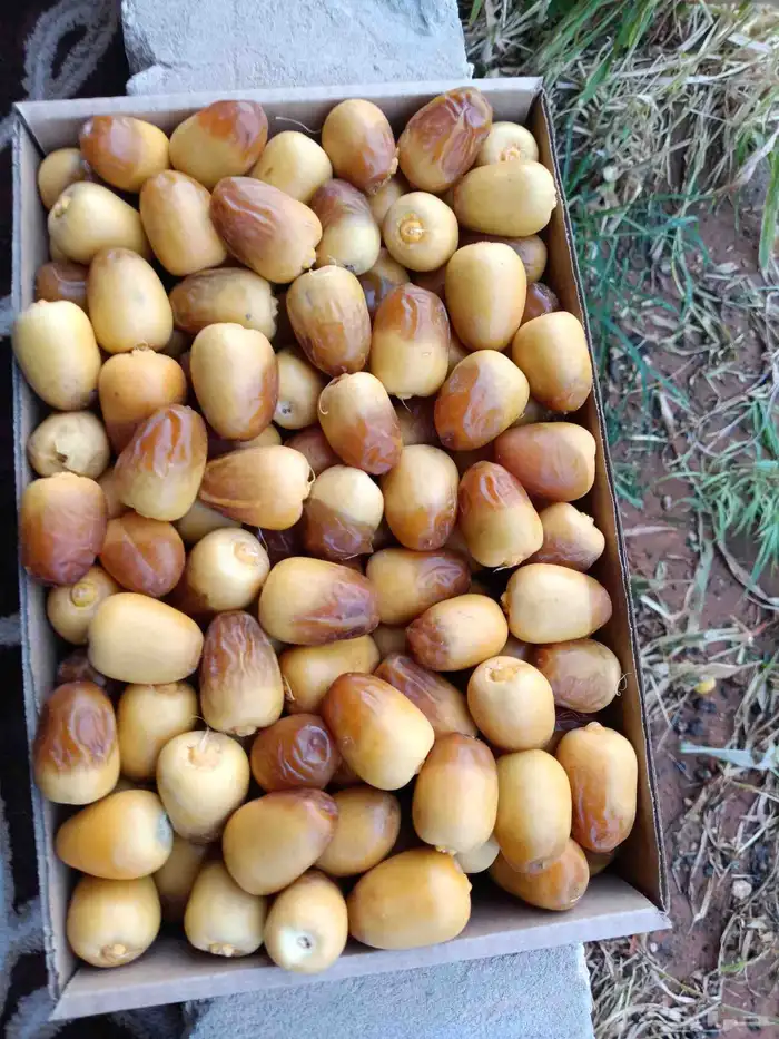 السلام عليكم يوجد لدينا جميع انواع اتمور الفاخره جده مكه ا 2