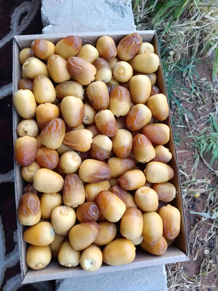السلام عليكم يوجد لدينا جميع انواع اتمور الفاخره جده مكه ا 1
