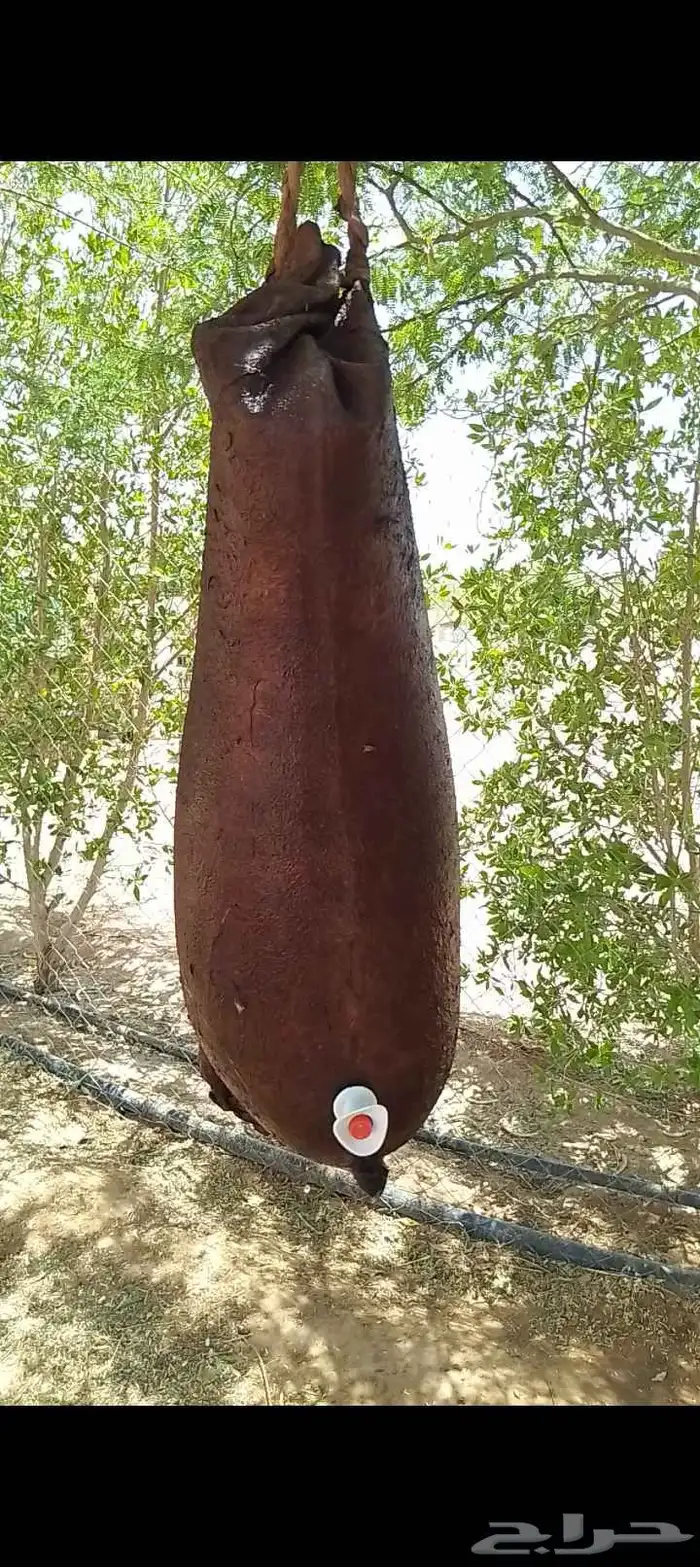 قرب ماء من جلد الغنم 1