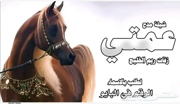 شيلات عريس جديد 2025 0