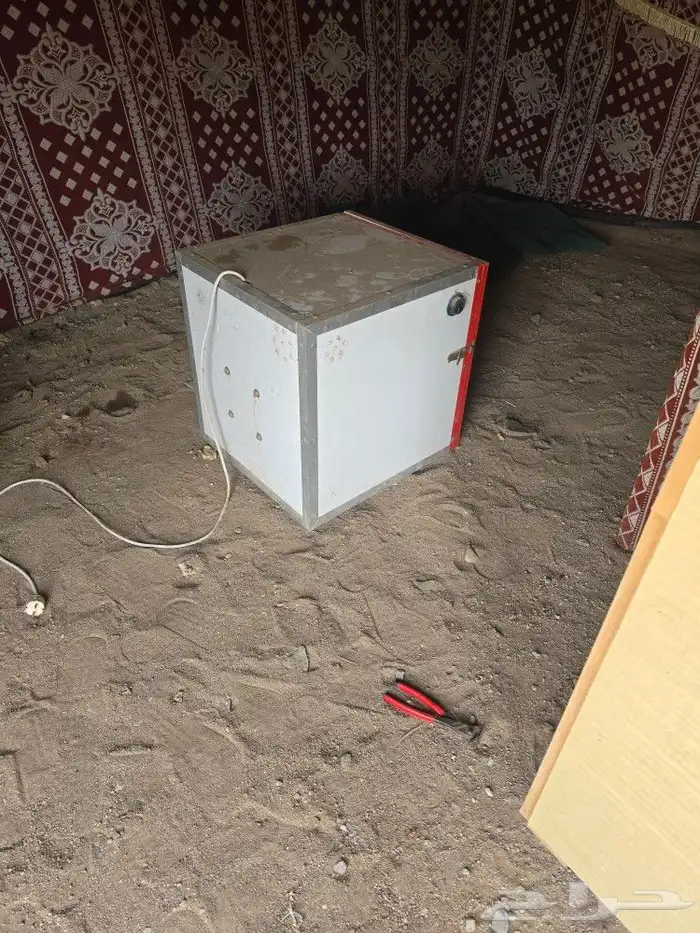 فقصات للبيع 0