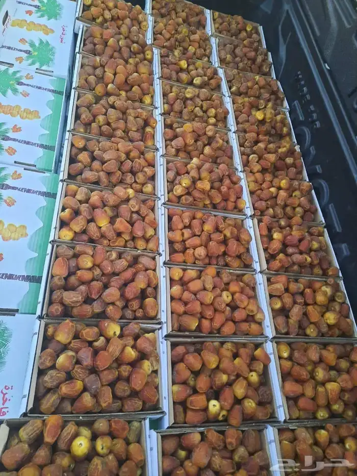السلام عليكم يوجد لدينا جميع انواع اتمور الفاخره جده مكه ا 5