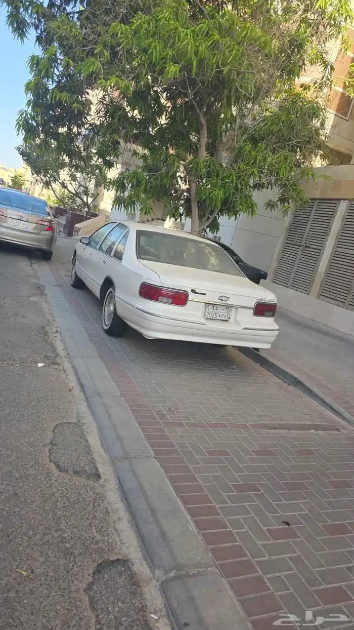 كابرس صابونه نظيف ( مالك اول ) 1993 1