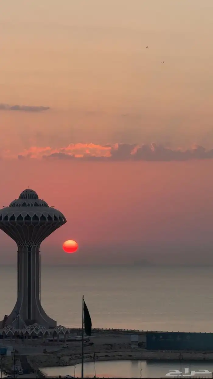 خدمات منزليه 0