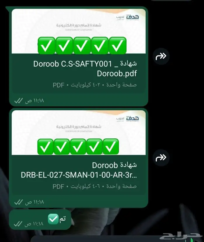 حضور دورات تدريبية معتمدة 6