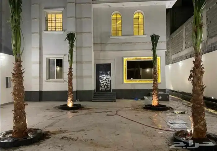 نخل واشنطني زينه نخيل وشنطونيا الرياض وجميع المناطق 3