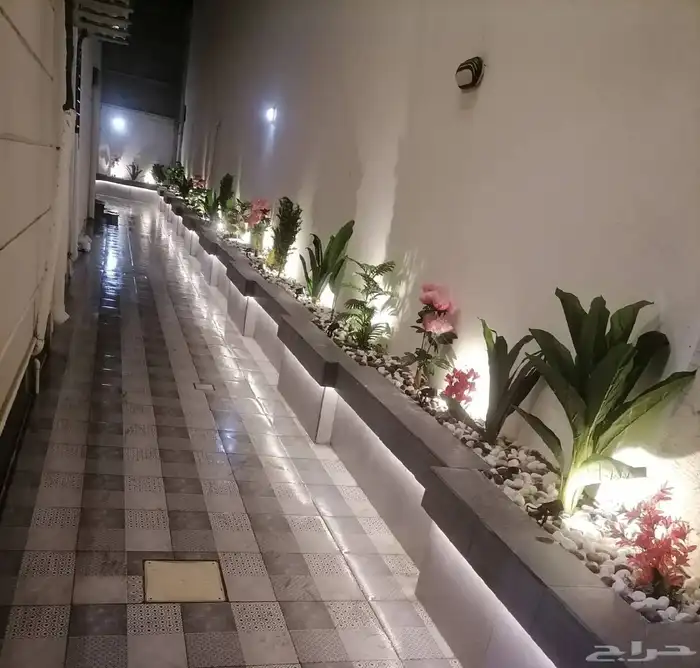 تنسيق حدائق جيزان 14