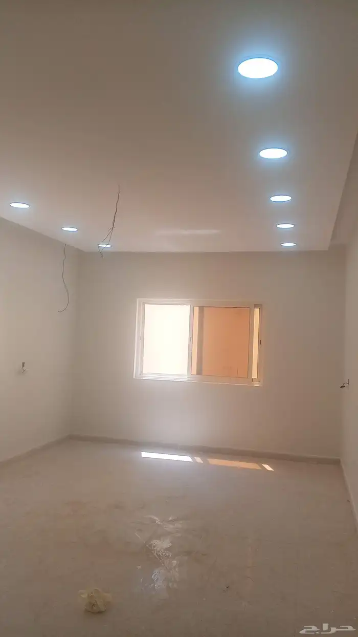 صباغ الأحساء 1