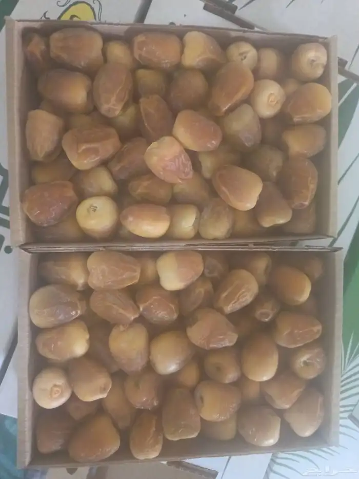 رطب سكري 0