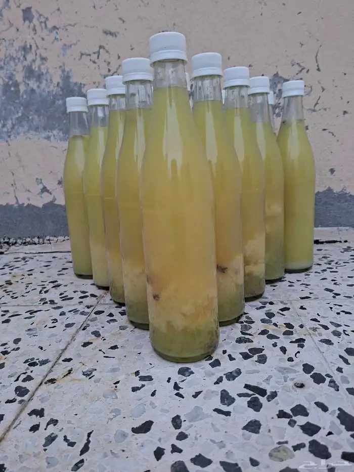 للبيع ليمون حساوي 1