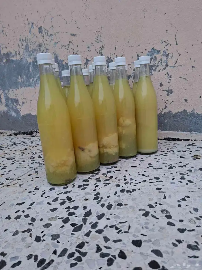 للبيع ليمون حساوي 2