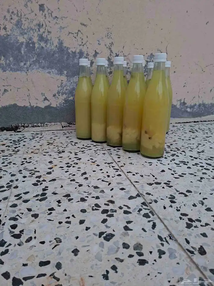 للبيع ليمون حساوي 3