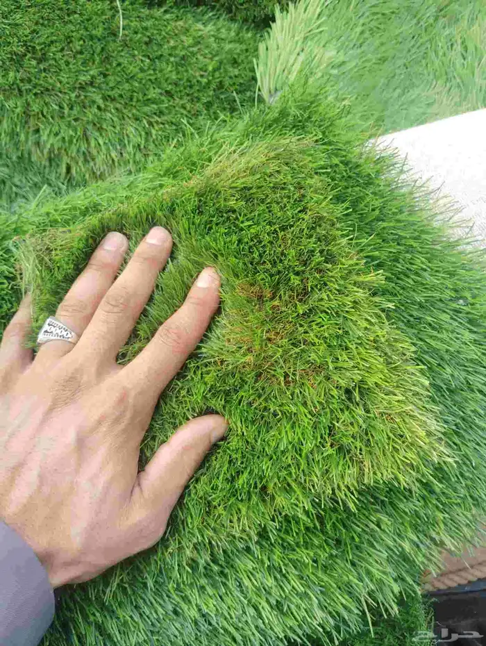 زراعي 5سم كثيف بااقل الاسعار 1