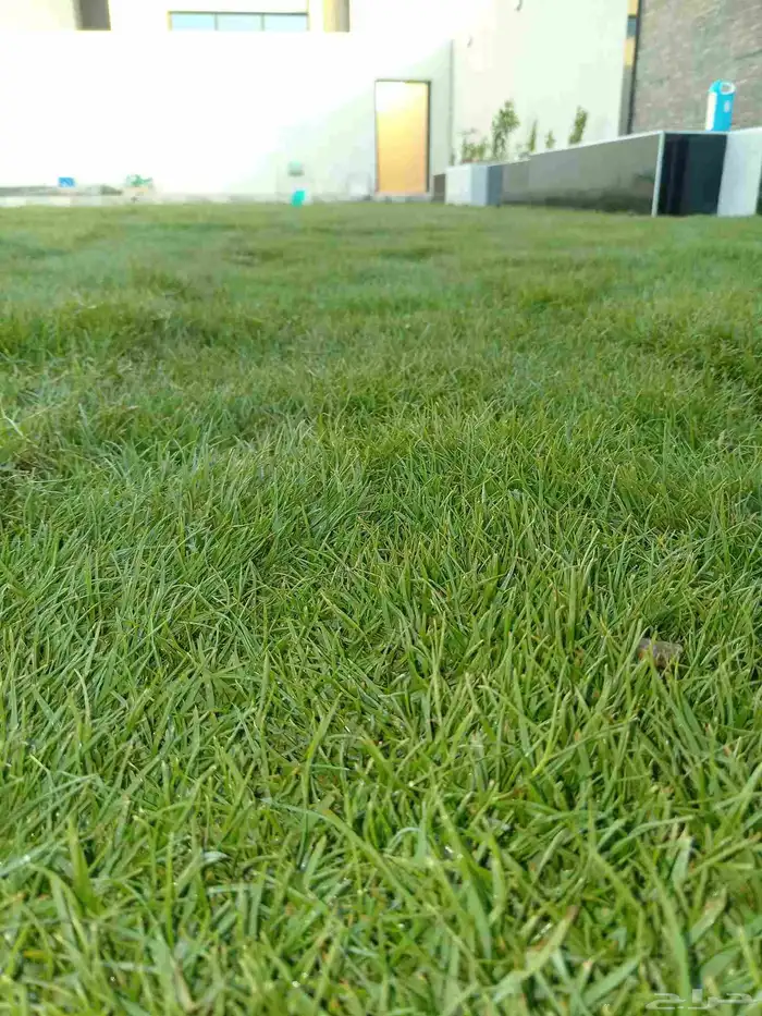 تنسيق حدائق 37