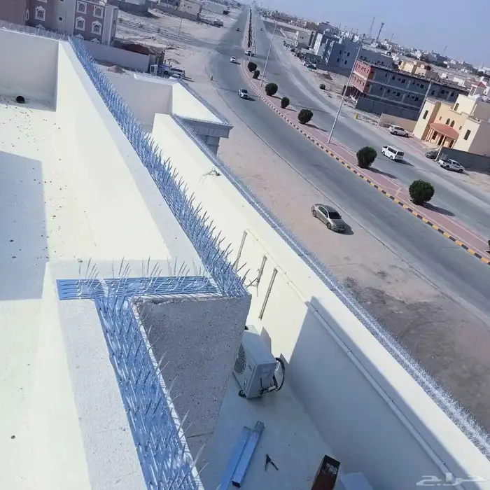 تنظيف منازل وكنب وسجاد وستاير 6