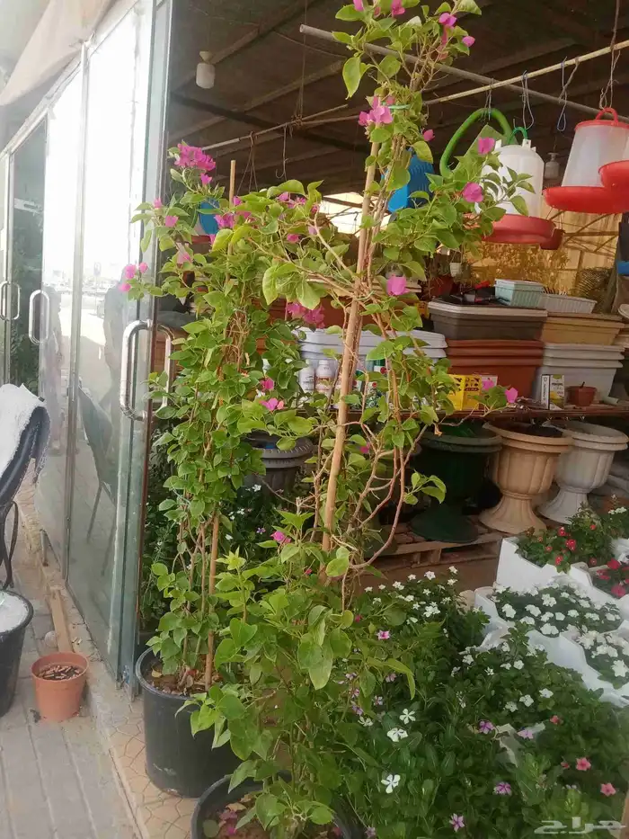 مشتل زراعي 14