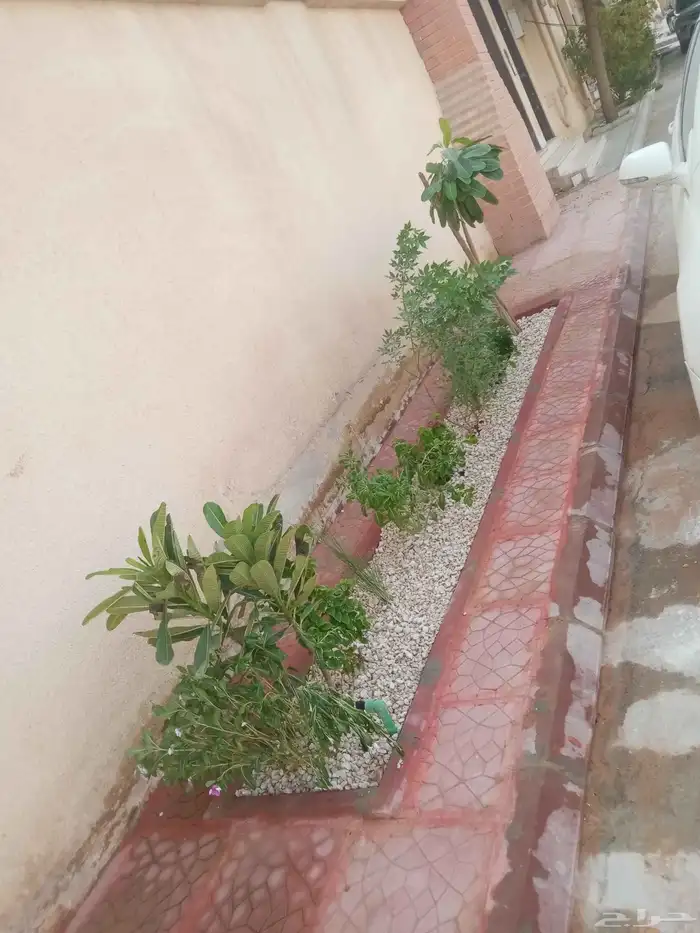 مشتل زراعي 11