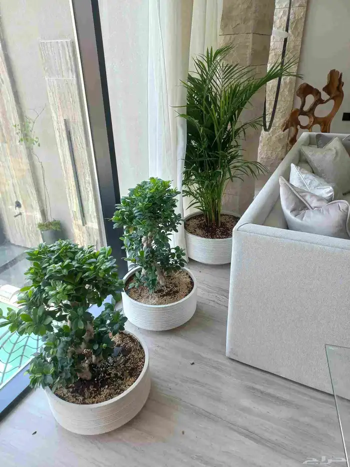 تنسيق حدائق 8