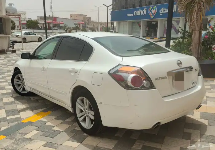 التيما 2010 7