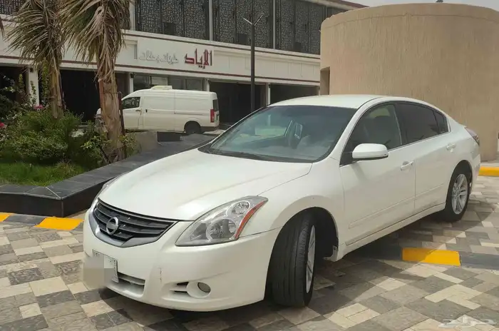 التيما 2010 8