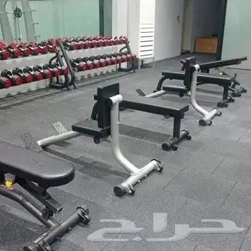 توريد فوري لجميع مناطق المملكة 1