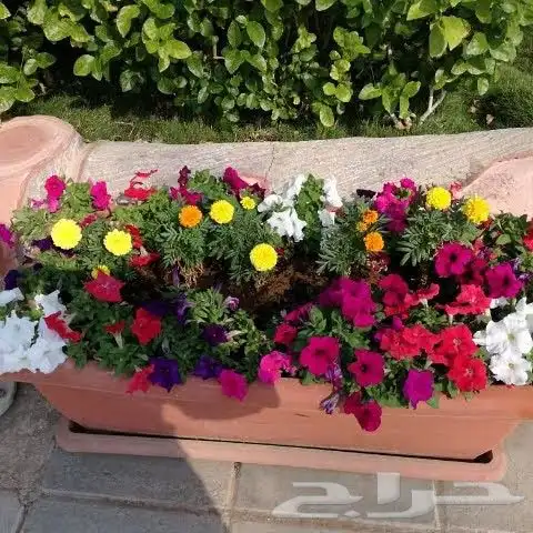 تنسيق حدائق 31