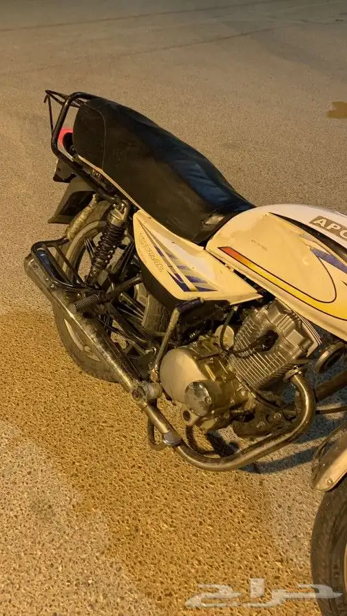 دباب برنقي 5