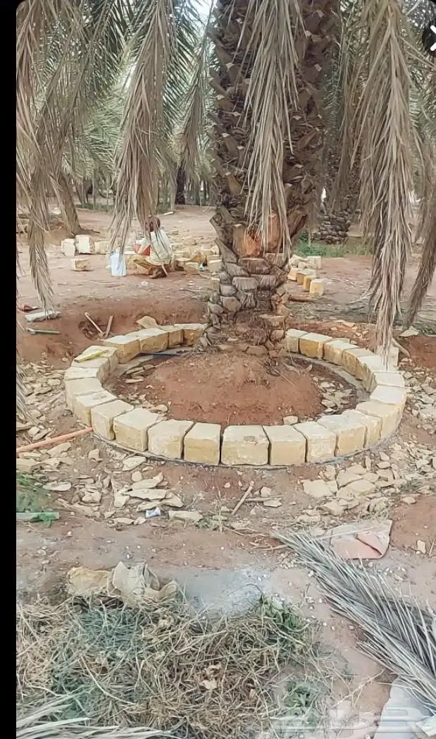 معلم مباني حجر 7