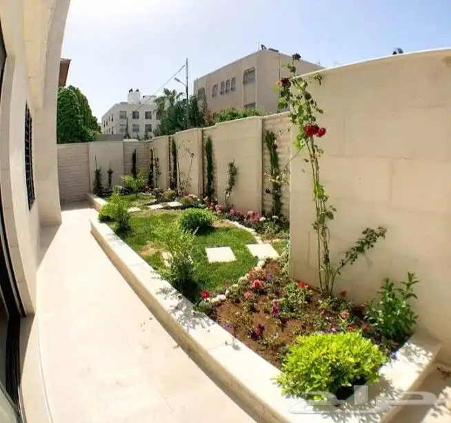 تنسيق الحدائق وتركيب شبكات الري واشجار الزينه والنخيل 1