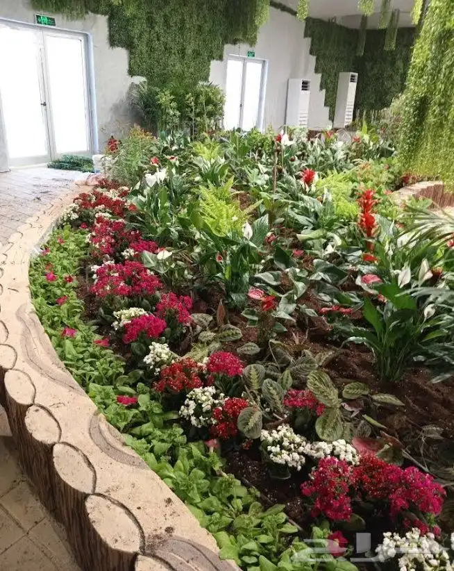 تنسيق الحدائق وتركيب شبكات الري واشجار الزينه والنخيل 0