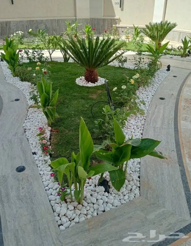 تنسيق الحدائق وتركيب شبكات الري واشجار الزينه والنخيل 2