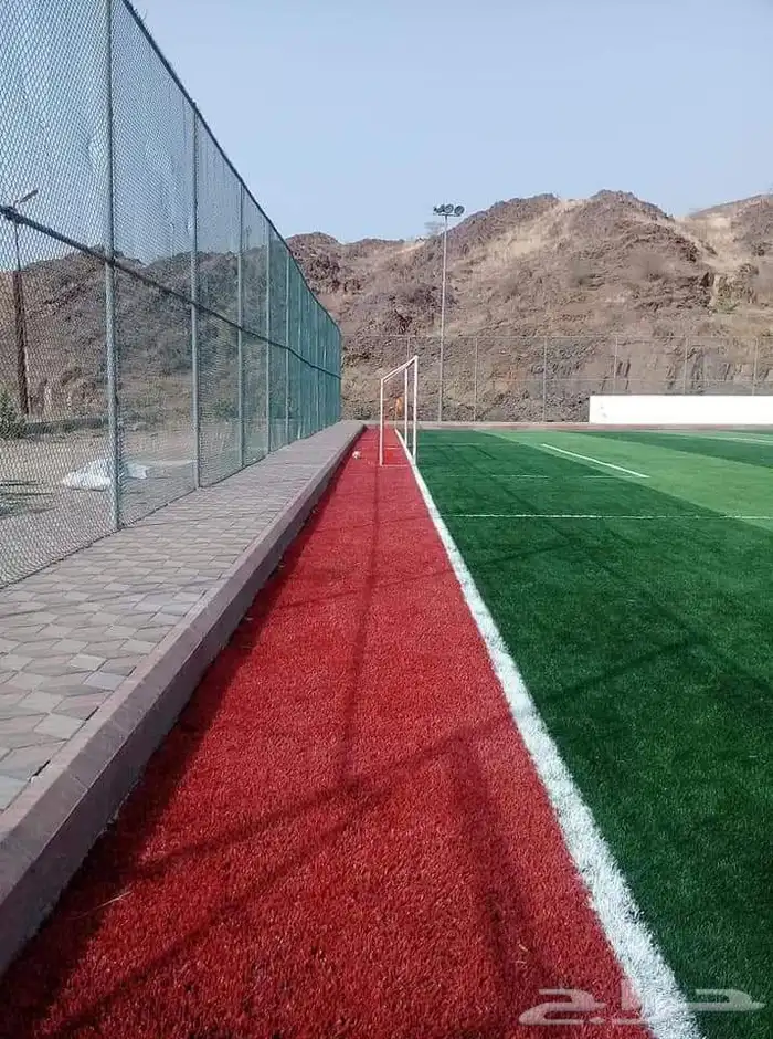 عشب صناي 3