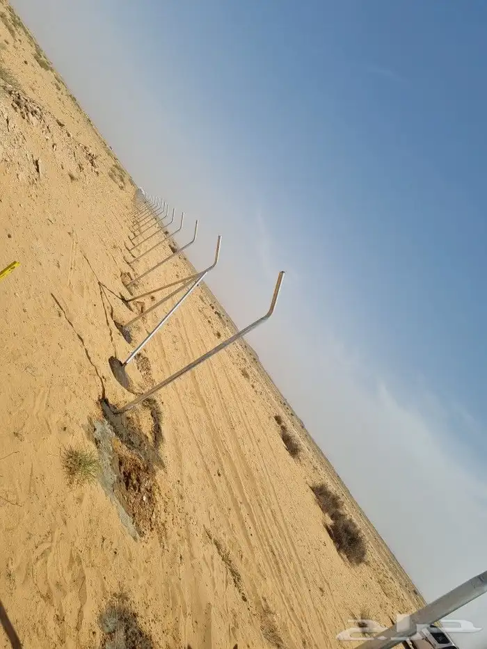 شبوك مزارع حايل 2