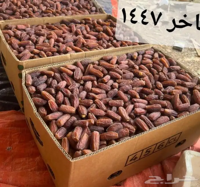 تمر مبروم حبه فاخره انتاج هذا العام 1447 0