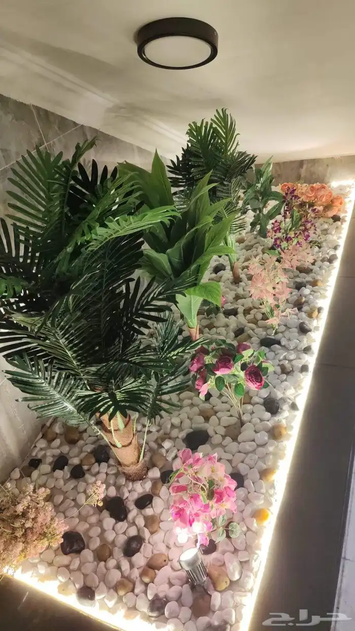 تنسيق حدائق جيزان 8