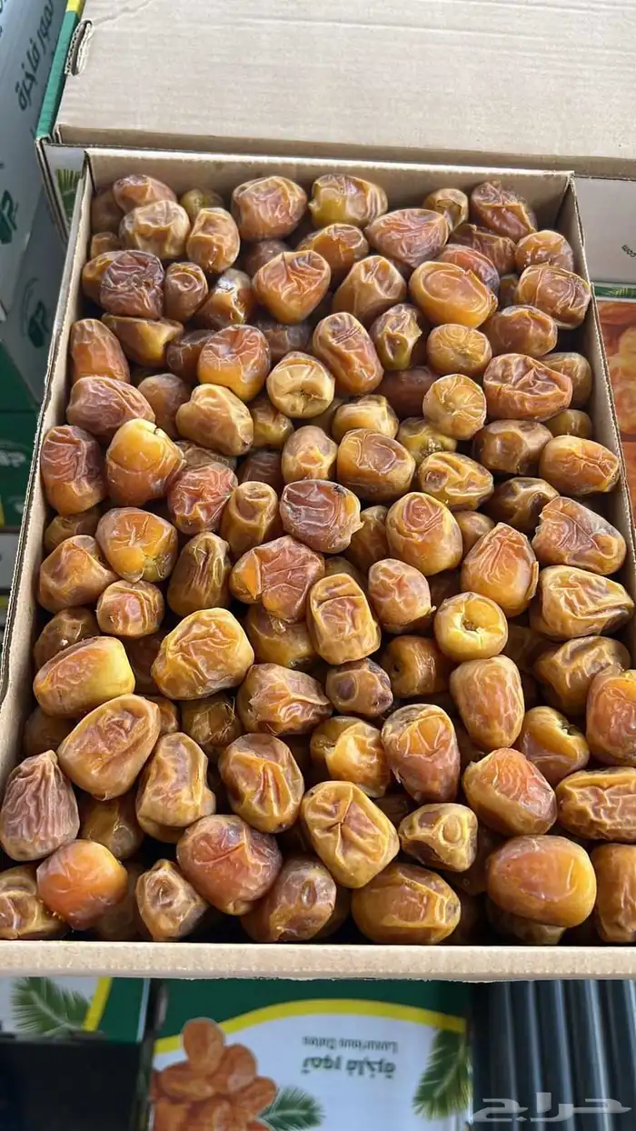 تمر سكري رطب متوفرر 0