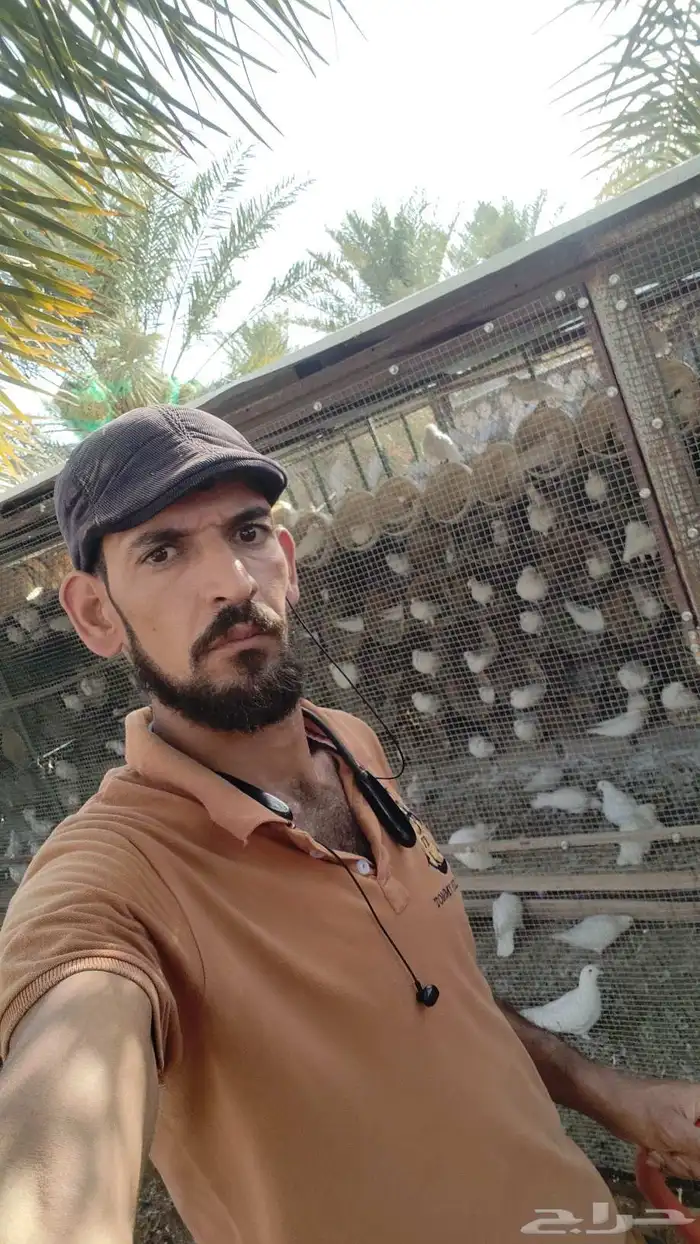 خبير ومعلم فى مجال الحمام وعمل دراسة جدوى للمشروع 1