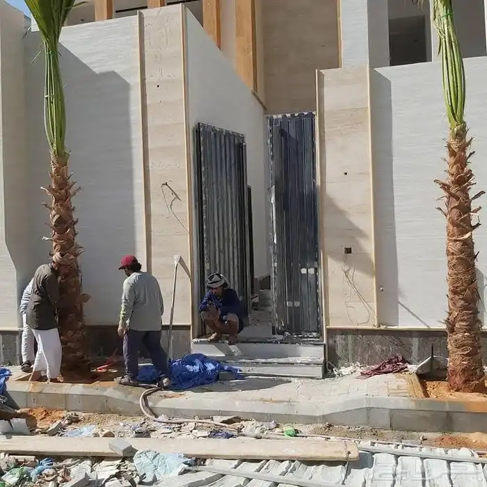 نخل عربي واشنطني نخيل للبيع توريد زراعه فروخ نقايل جثايث 2