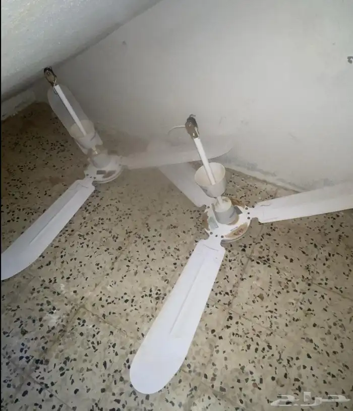 يوجد 1 مروحه 0