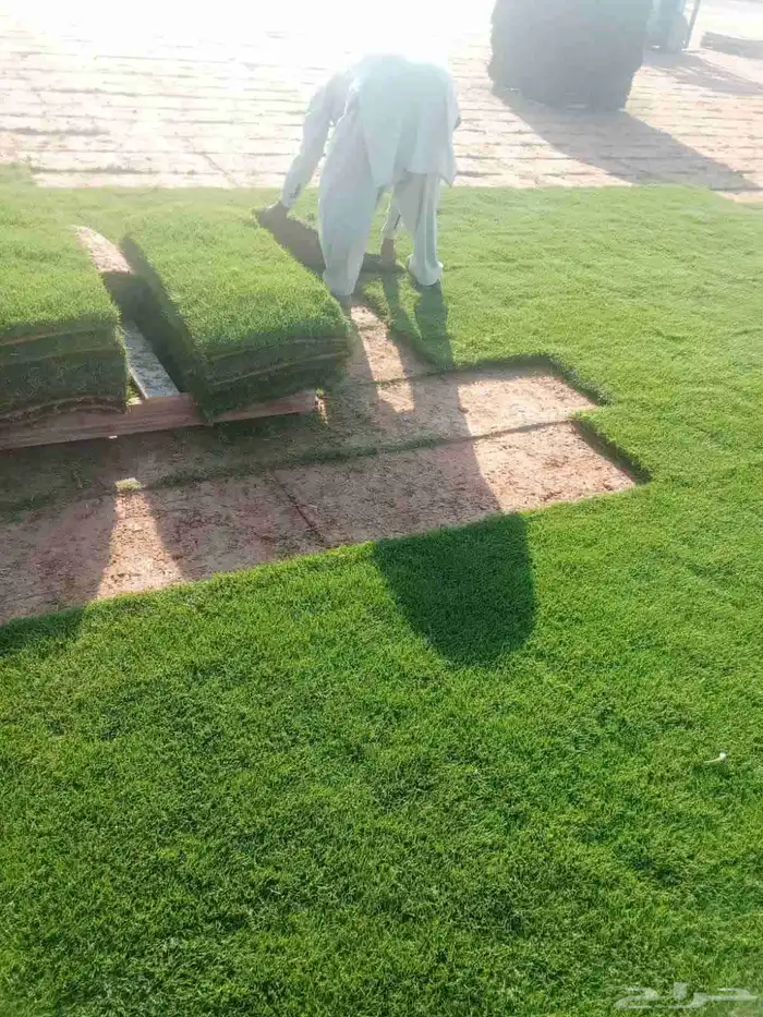 تنسيق حدائق طبيعي وصناعي وتركيب جميع شبكات الري والضباب05440 2