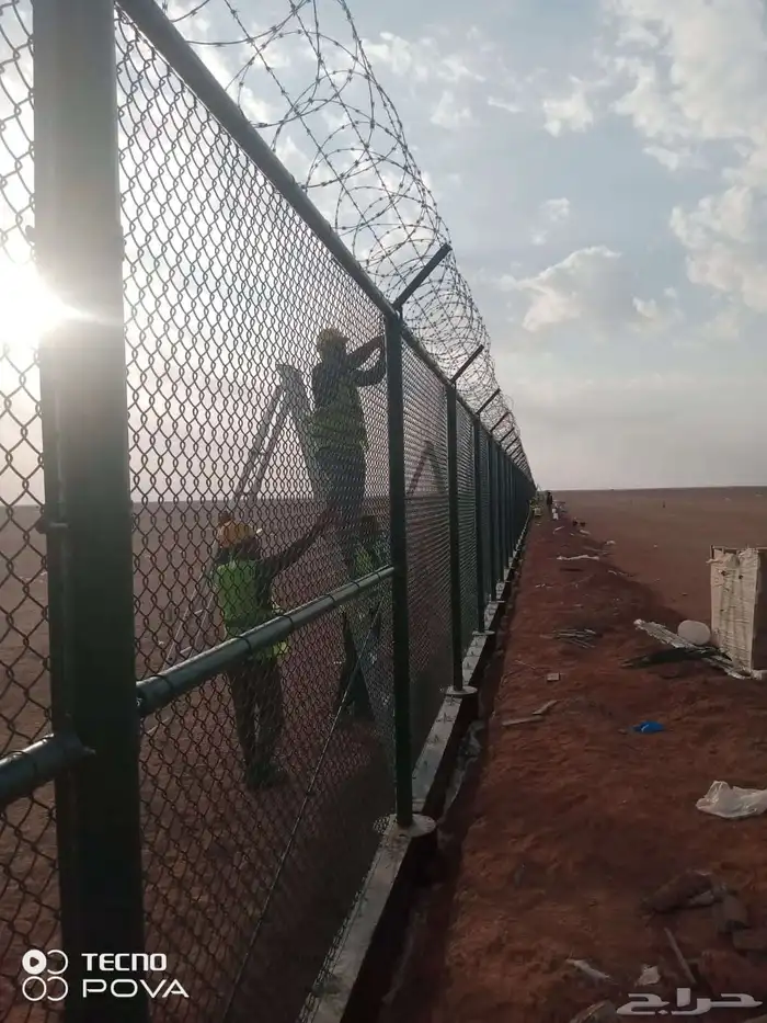 نخيل عربي وواشنطني شبوك ومضلات وسواتر وهناجر وأشجار زينه 8