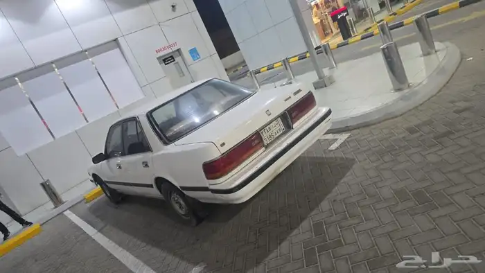 كرسيدا مويل 1993 3